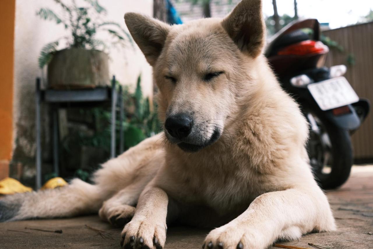 Tron Homestay Kon Von Kla Buitenkant foto