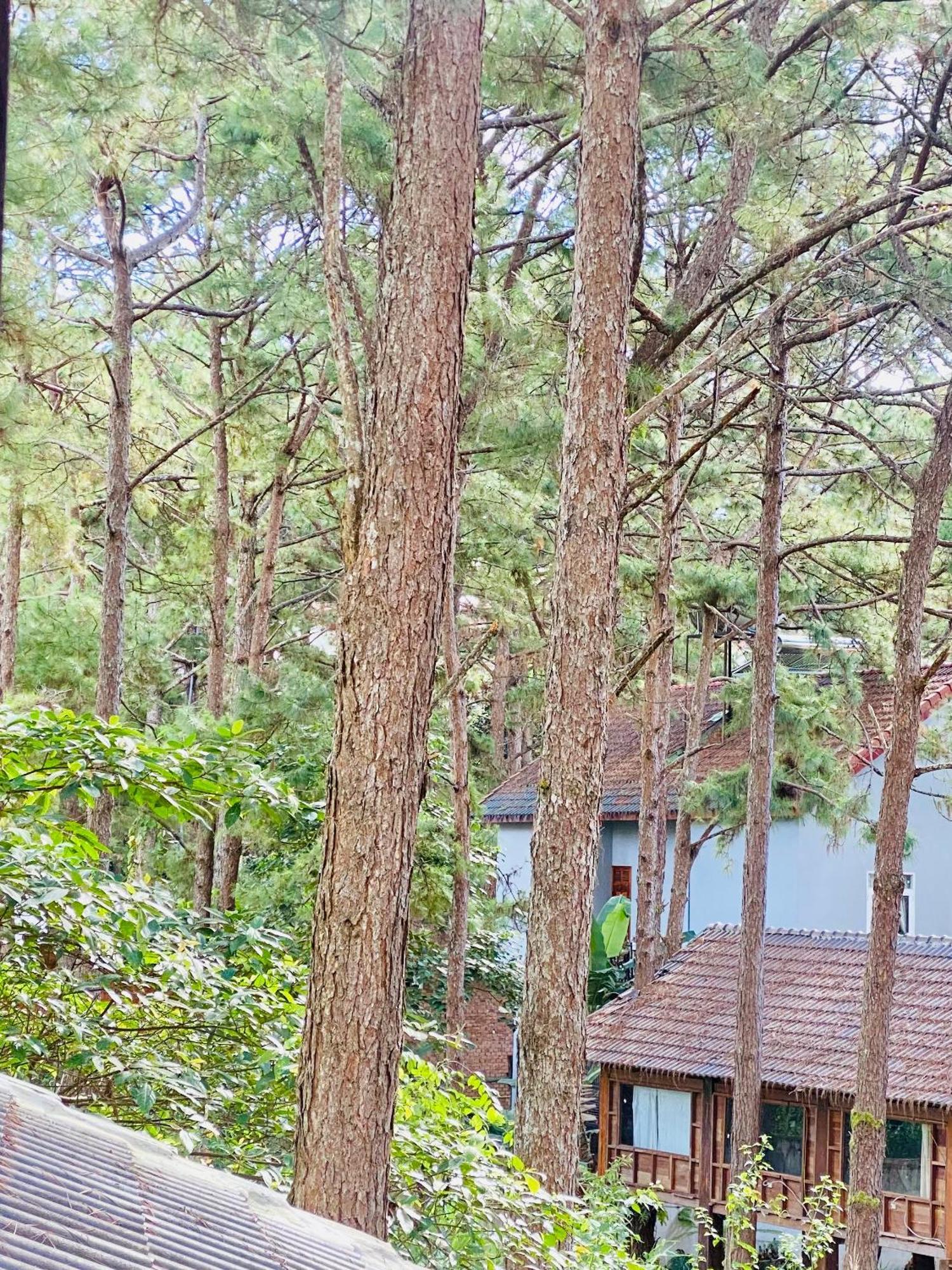 Tron Homestay Kon Von Kla Buitenkant foto