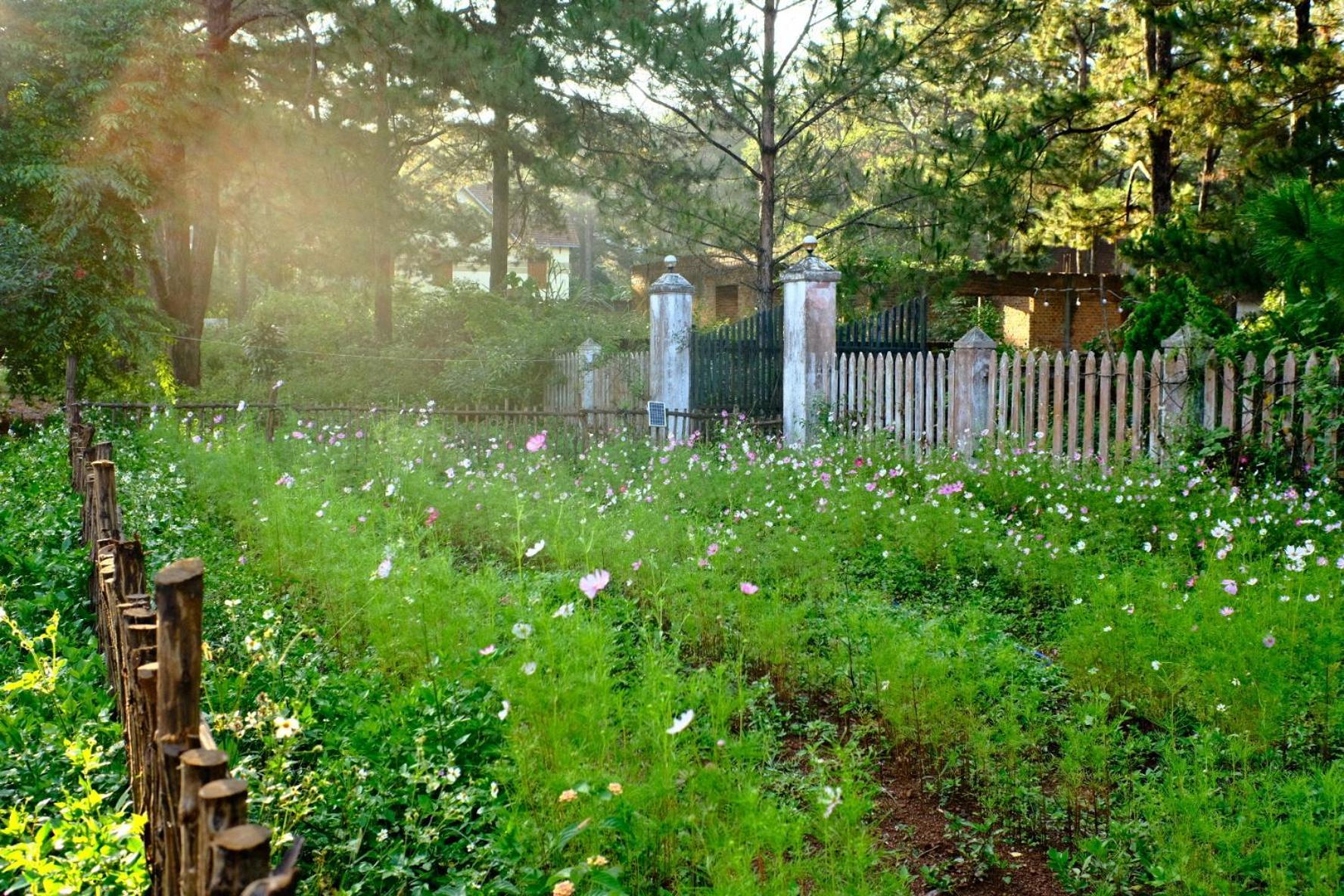 Tron Homestay Kon Von Kla Buitenkant foto